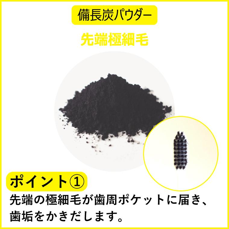 �ڥ�ӥ塼�ץ쥼��������Ĺú���֥饷 Eco Slim 20�ܥ��åȡ�GS-ESB-20��