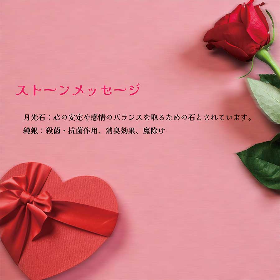 ��AINA GINZA�ۥѥ���ȡ��� �ڥ����� ŷ���С�HC082-01��