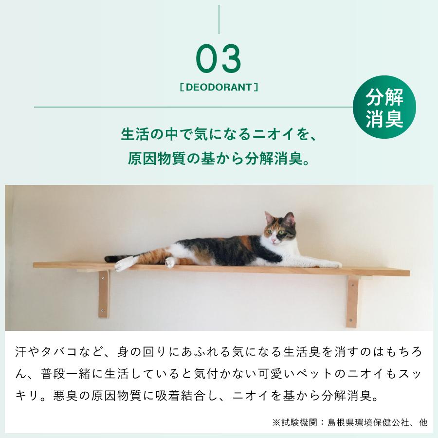 �ڥ�ӥ塼�ץ쥼�����ۥǥ��ե������NTS 1L��AN-NTS1��