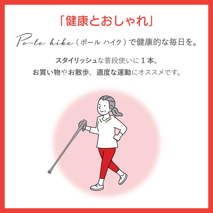 ���������󥰥ݡ��� Po-le hike 1�������WP-PH��