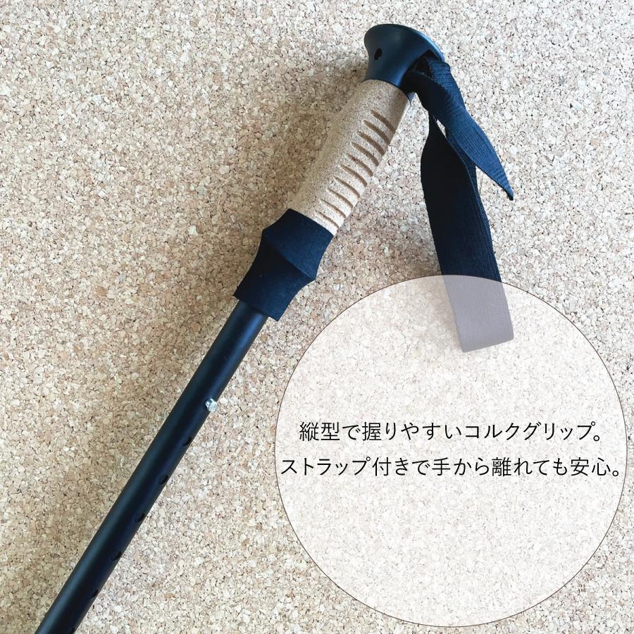 ���������󥰥ݡ��� Po-le hike 1�������WP-PH��