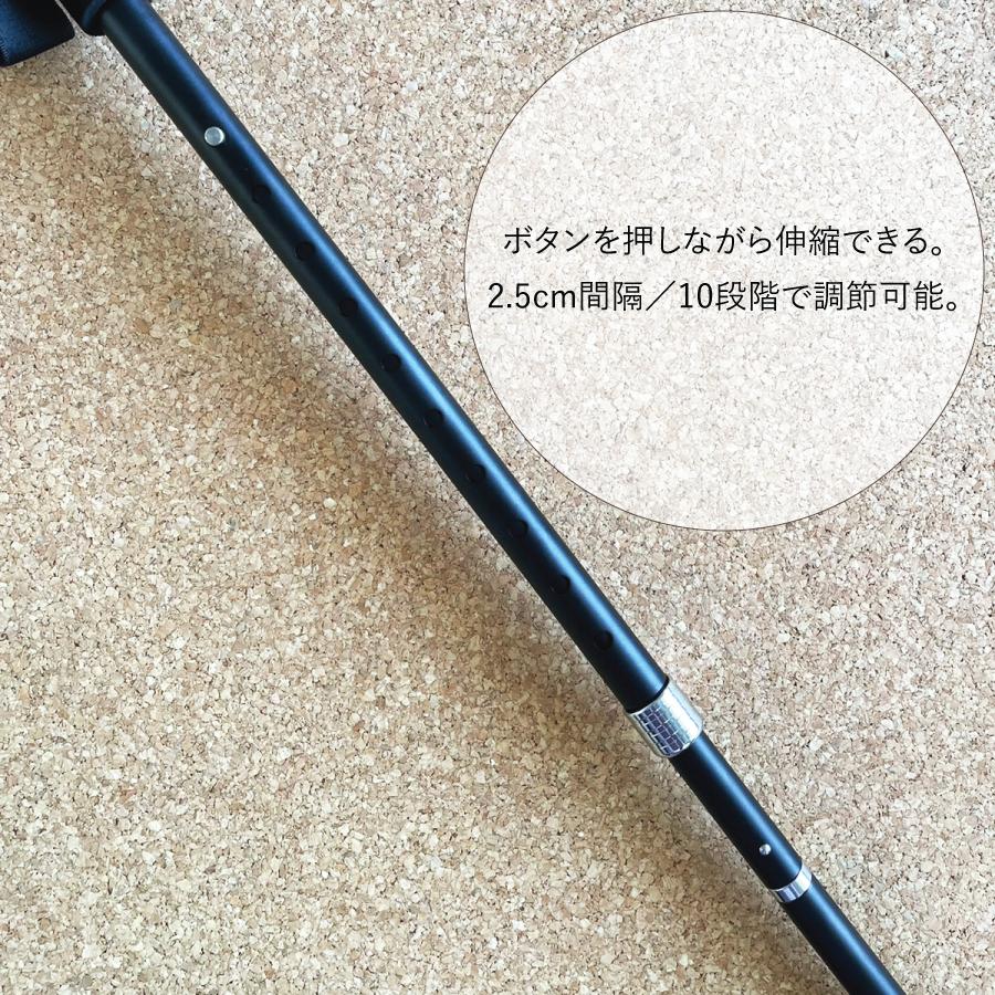 ���������󥰥ݡ��� Po-le hike 1�������WP-PH��