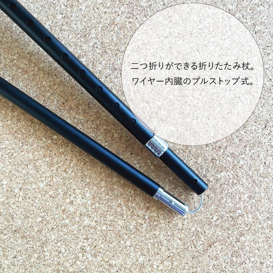 ���������󥰥ݡ��� Po-le hike 2�������WP-PH2��