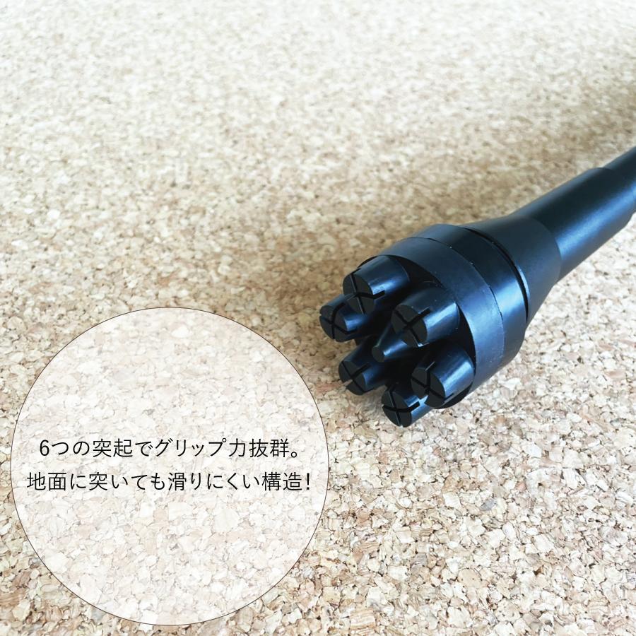 ���������󥰥ݡ��� Po-le hike 2�������WP-PH2��