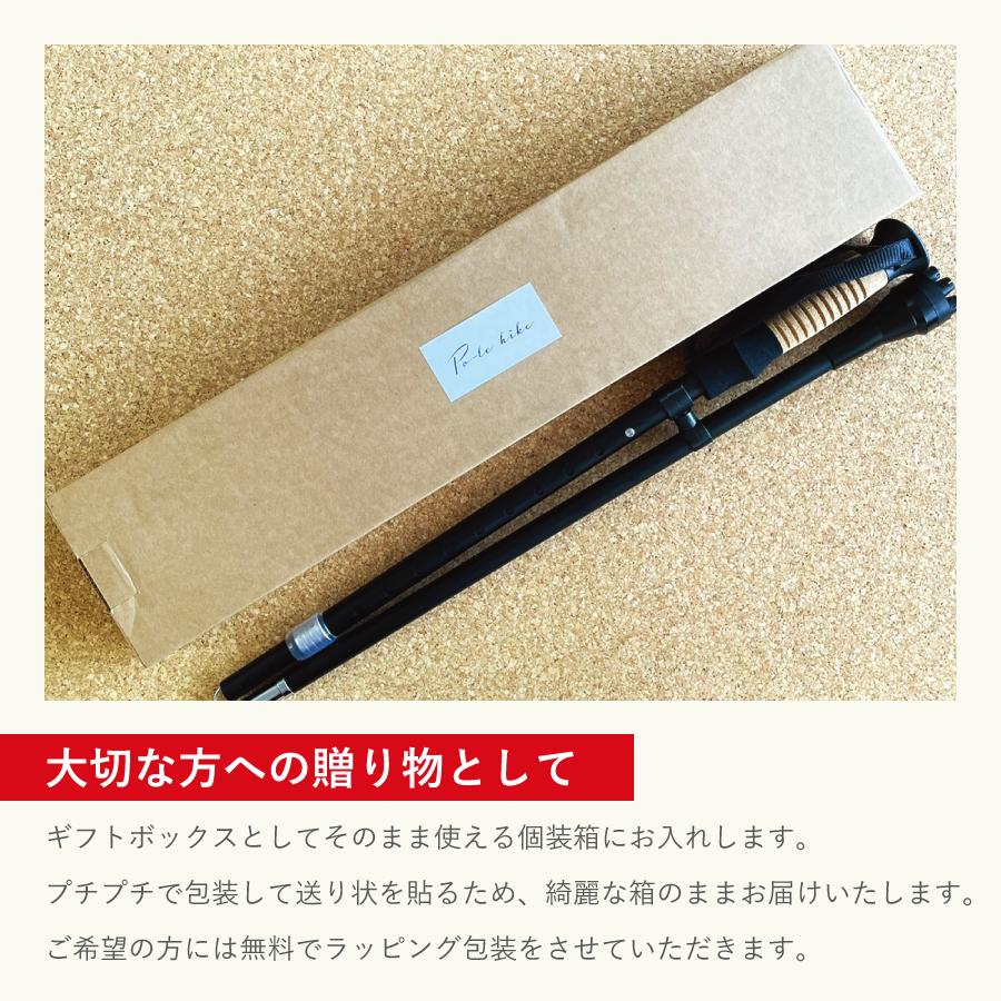 ���������󥰥ݡ��� Po-le hike 2�������WP-PH2��