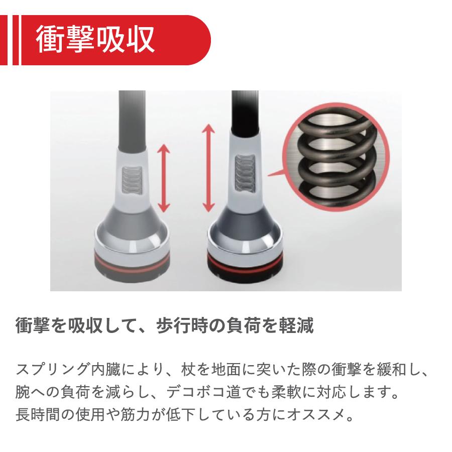 ���������󥰥ݡ��� Po-le hike 2�������WP-PH2��