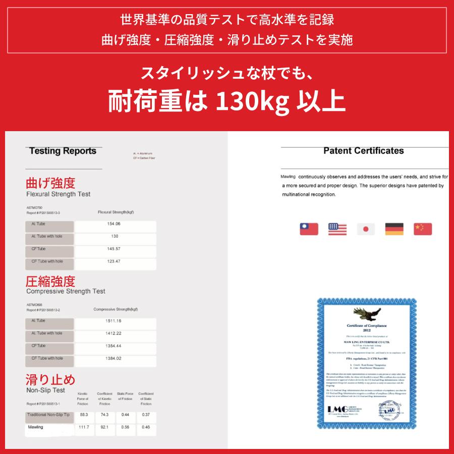 ���������󥰥ݡ��� Po-le hike 2�������WP-PH2��