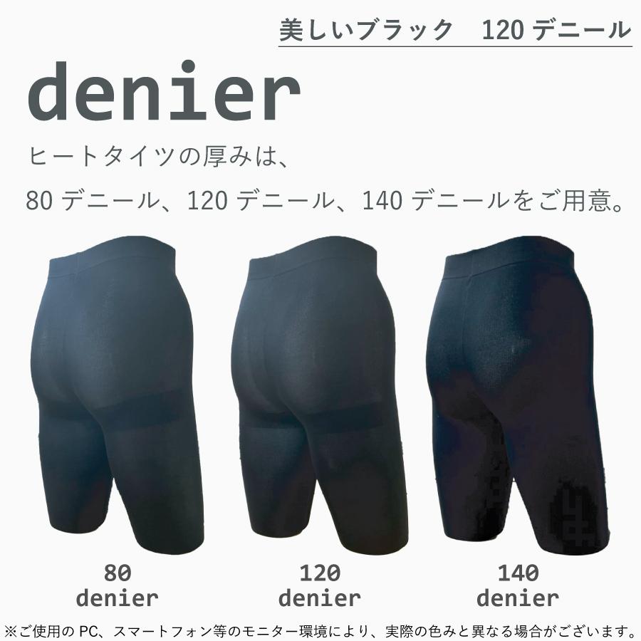 �ڥ�ӥ塼�ץ쥼������Heat style PREMIUM 120�ǥˡ��� 2­�ȡ�GS-11607120-2��