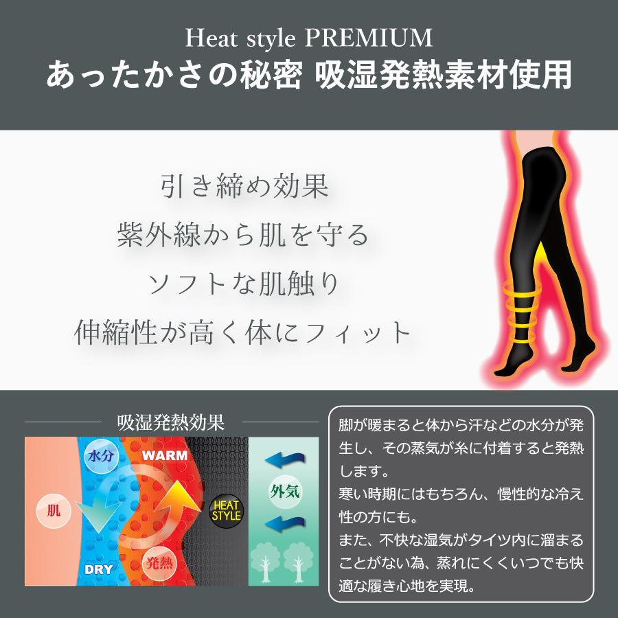 �ڥ�ӥ塼�ץ쥼������Heat style PREMIUM 120�ǥˡ��� 2­�ȡ�GS-11607120-2��
