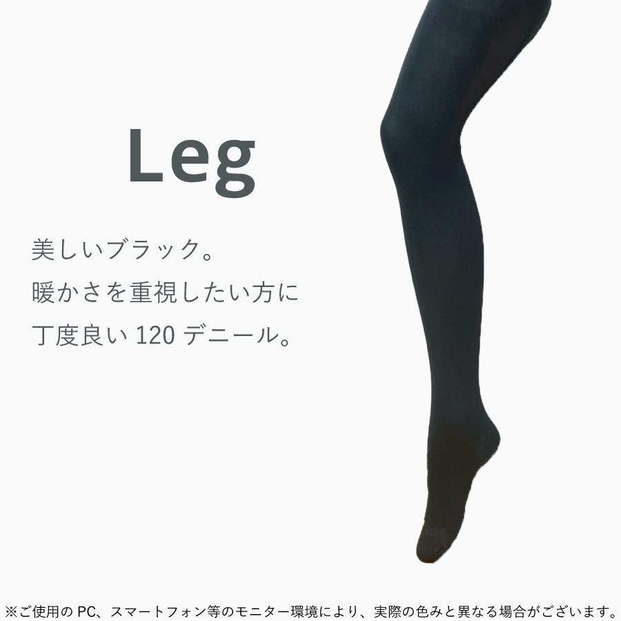 �ڥ�ӥ塼�ץ쥼������Heat style PREMIUM 120�ǥˡ��� 2­�ȡ�GS-11607120-2��