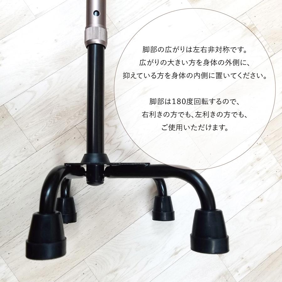 �ڥ�ӥ塼�ץ쥼�����ۤ餯�餯4���� L��������ST-CS1142��