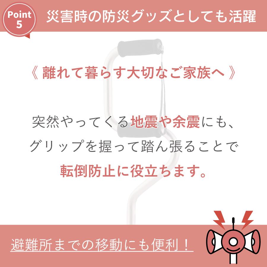 �ڥ�ӥ塼�ץ쥼�����ۤ餯�餯4���� L��������ST-CS1142��