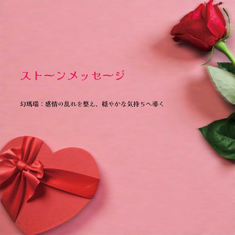 �ڥ�ӥ塼�ץ쥼�����ۡ�AINA GINZA�ۥѥ���ȡ��� �ͥå��쥹 ŷ���С�HC224-01��
