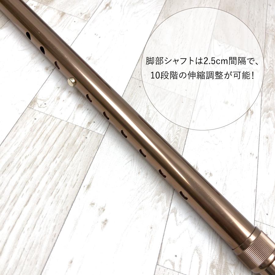 ���ե��ȥ��ɥ���å� BRONZE SUPPORT 1�ܡ�LC-BS��