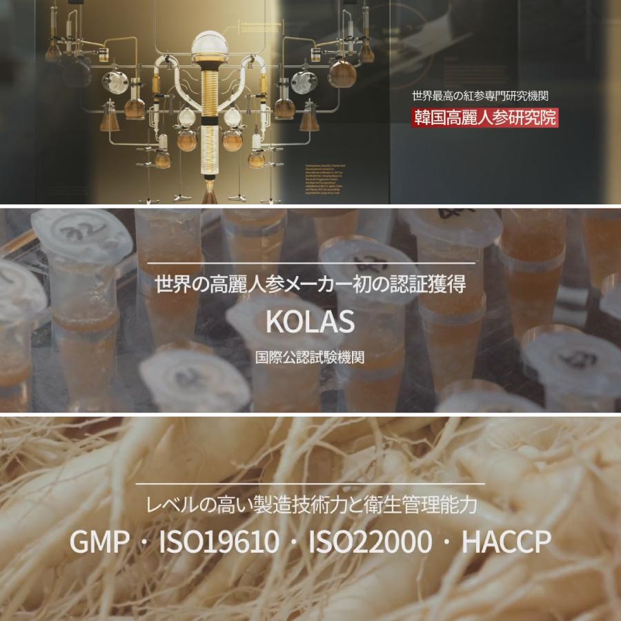 �ڥ�ӥ塼�ץ쥼������������ �Ȼ����֥�åȥץ饹 700mg��60γ ��2����ʬ��KGC-EX004��DF2031