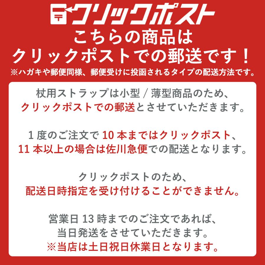 �١����å����ѥ��ȥ�å� 22����OP-ST901��