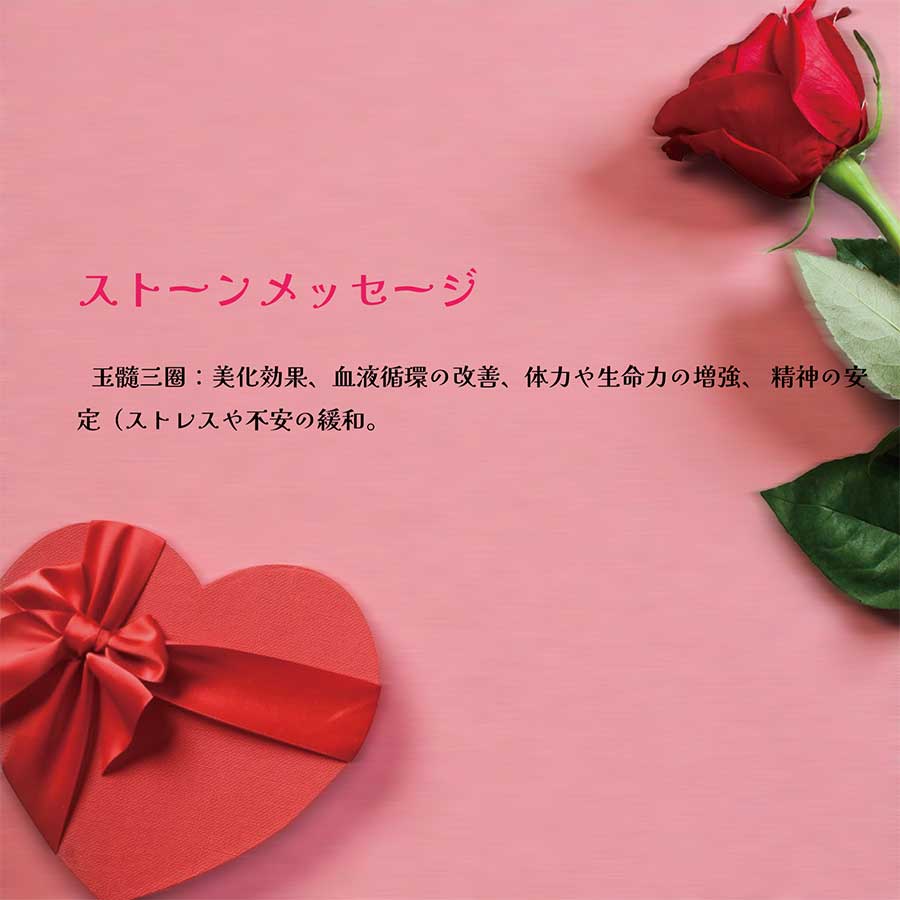 �ڥ�ӥ塼�ץ쥼�����ۡ�AINA GINZA�ۥѥ���ȡ��� �֥쥹��å� ŷ���С�HC295-01��