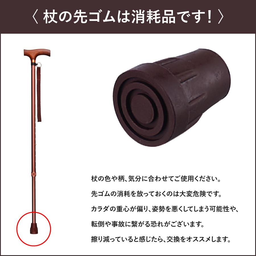 �ڥ�ӥ塼�ץ쥼�����ۥ������ѥ�����å� 16����GM-SS��
