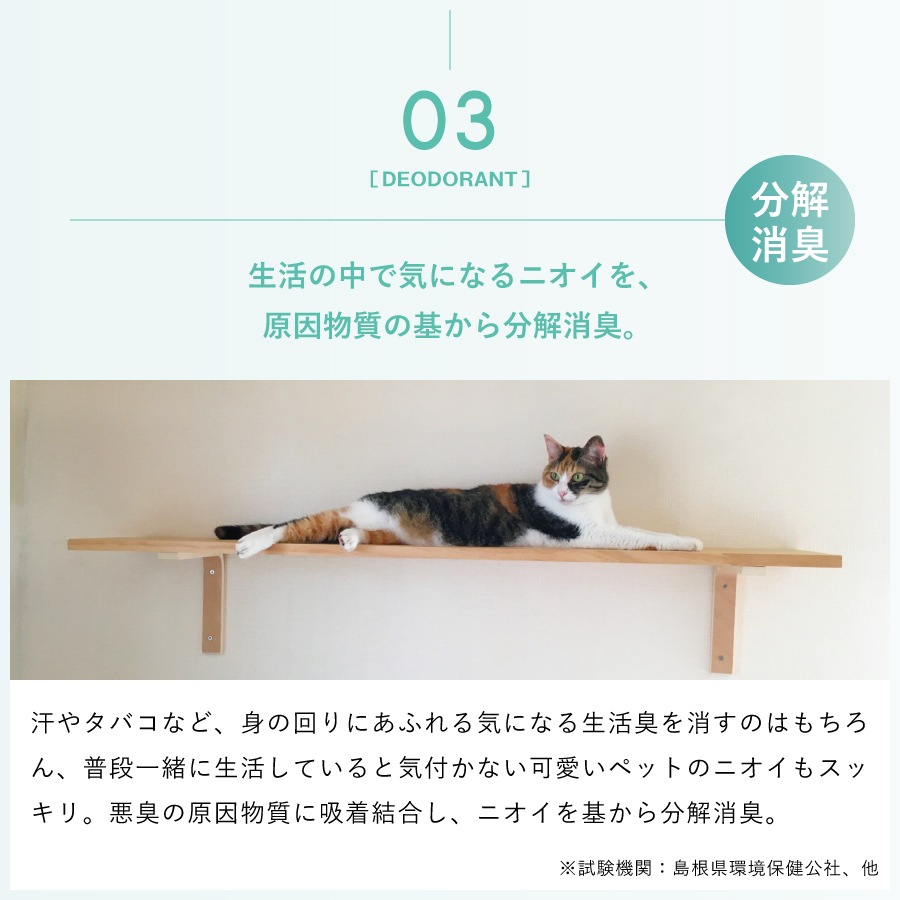 �ǥ��ե������NTS PLUS 500ml��AN-NTSP500��