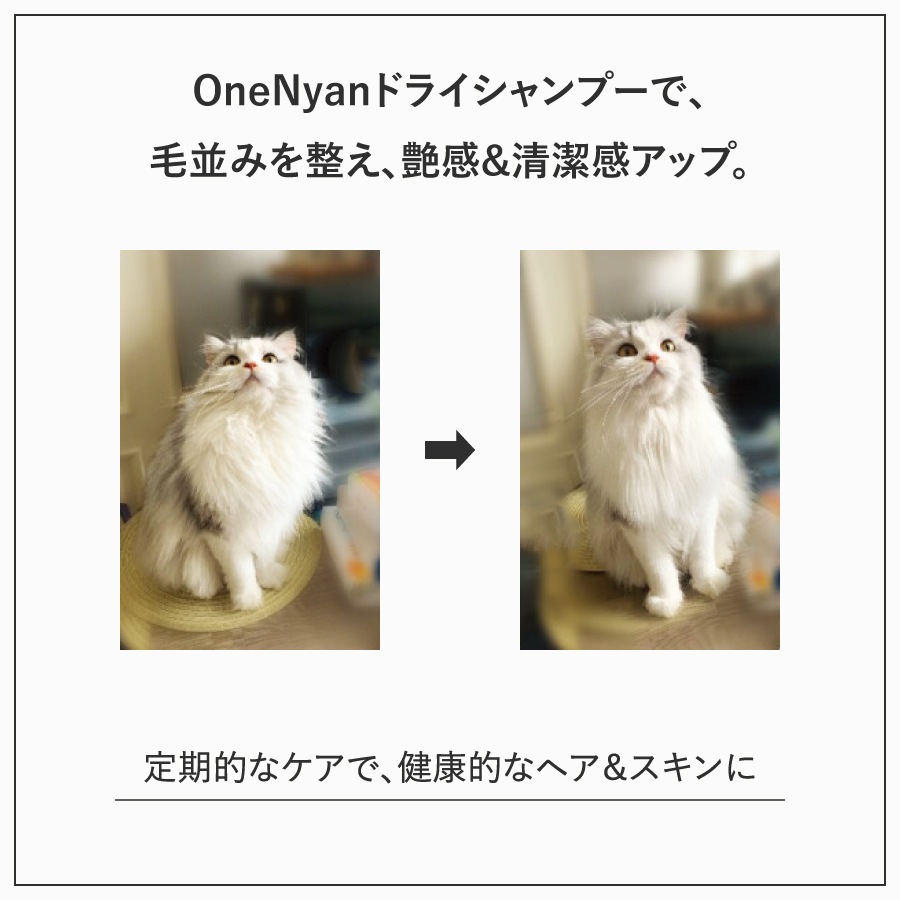 OneNyan ɥ饤ס ǭ 200mlON-CAT