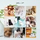 OneNyan ɥ饤ס ǭ 200mlON-CAT0206-ONS20