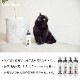 OneNyan ɥ饤ס ǭ 200mlON-CAT0206-ONS20