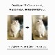 OneNyan ɥ饤ס ǭ 200mlON-CAT0206-ONS20