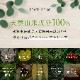 OneNyan ɥ饤ס ǭ 200mlON-CAT0206-ONS20