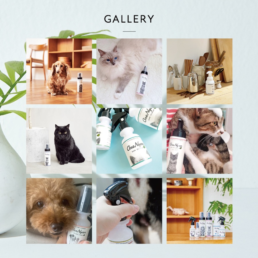 OneNyan �ɥ饤�����ס� ���� 200ml��ON-DOG��0206-ONS20