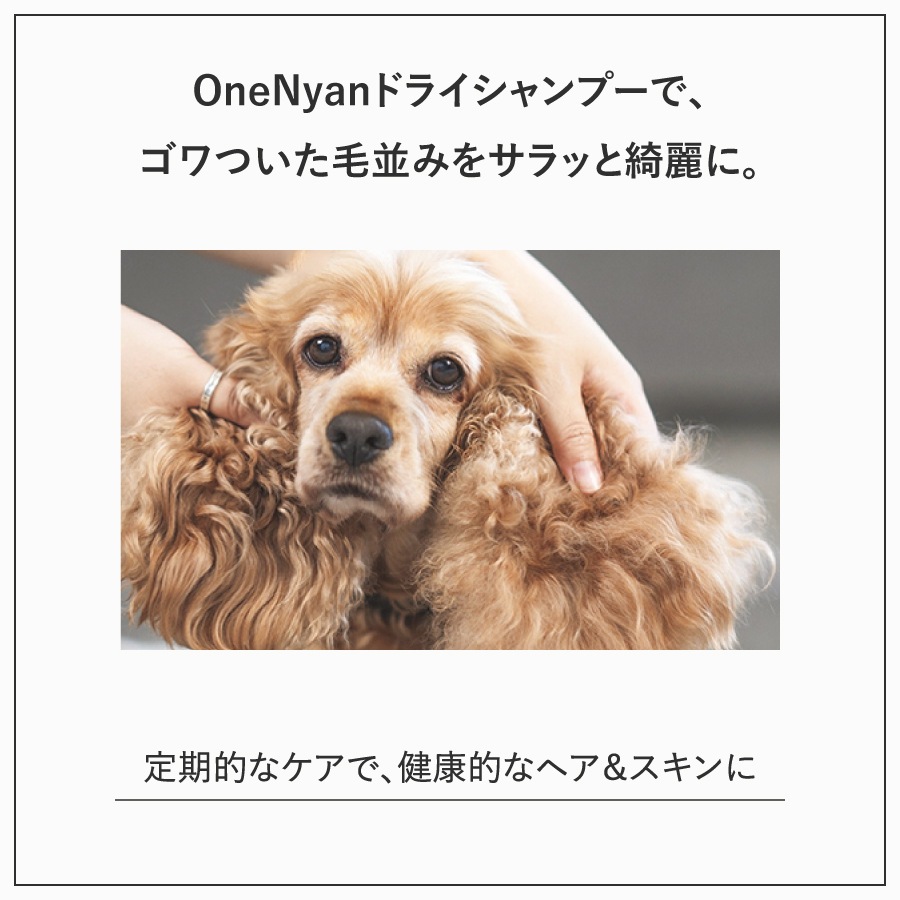 OneNyan �ɥ饤�����ס� ���� 200ml��ON-DOG��0206-ONS20