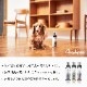 OneNyan �ɥ饤�����ס� ���� 200ml��ON-DOG��0206-ONS20