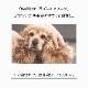 OneNyan �ɥ饤�����ס� ���� 200ml��ON-DOG��0206-ONS20