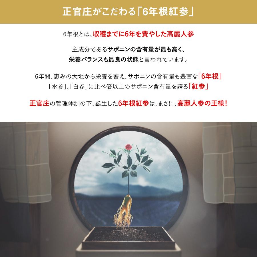 ������ �Ȼ��� ������� 240g 2�ĥ��åȡ�KGC-EX0022��DF2029