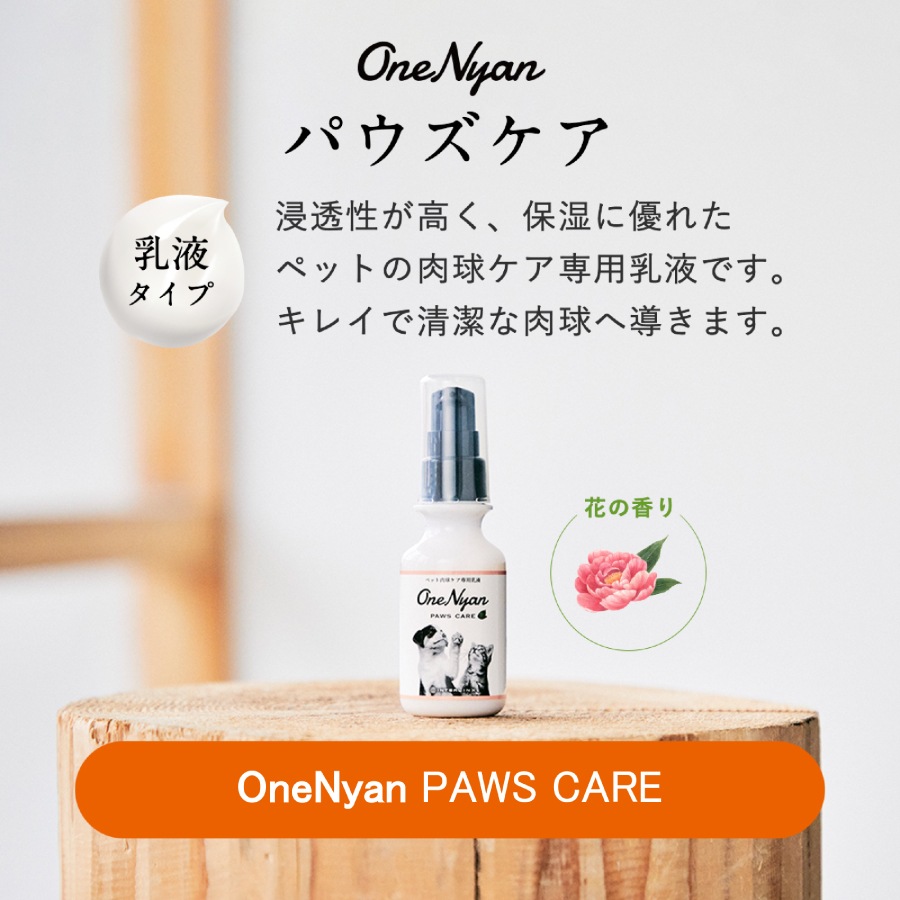 OneNyan �ѥ������� 50g��ON-PC��0206-ONP050