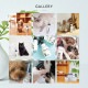 OneNyan ѥ 50gON-PC0206-ONP050