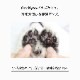 OneNyan ѥ 50gON-PC0206-ONP050