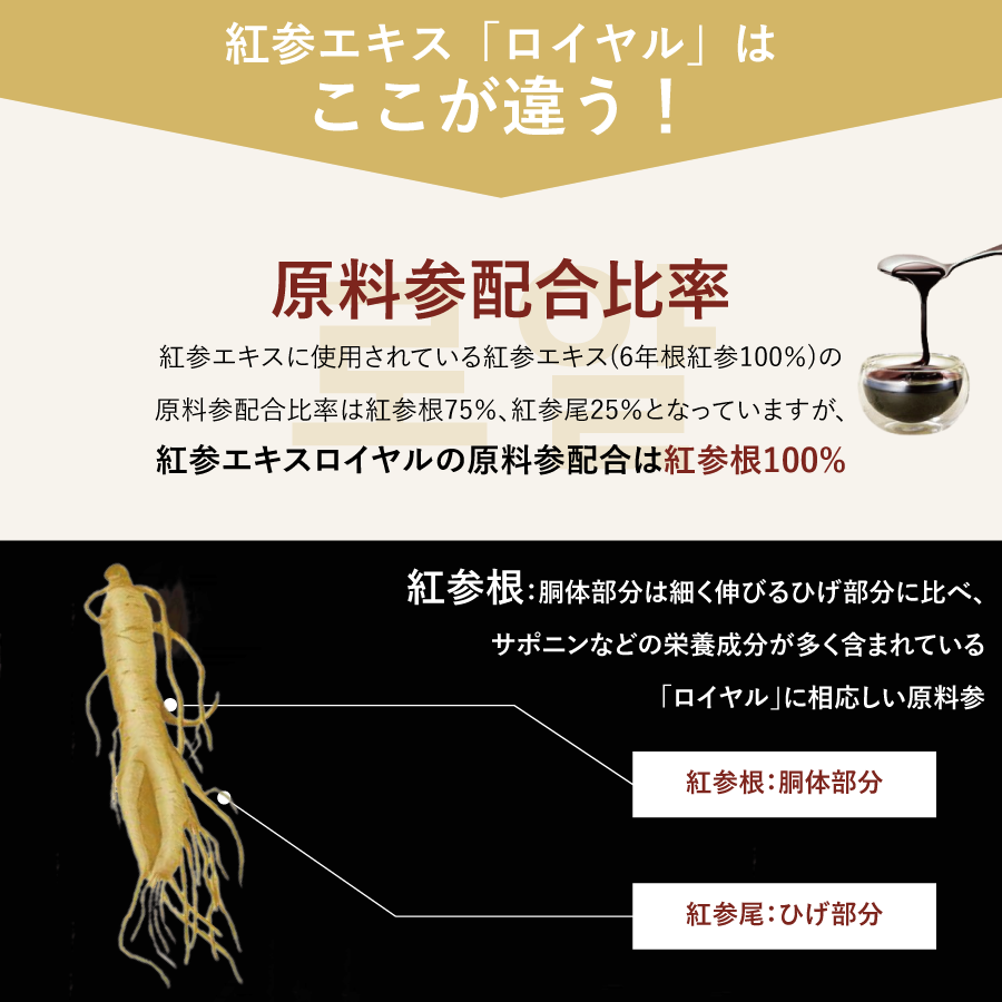 �ڥ�ӥ塼�ץ쥼������������ �Ȼ��� ������� 240g 3�ĥ��åȡ�KGC-EX0023��DF2029