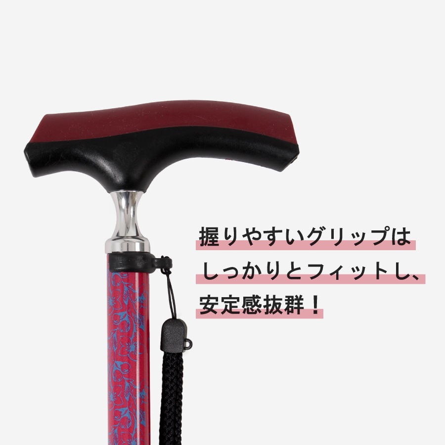 �ɥ��������������̾�(HC-PD)