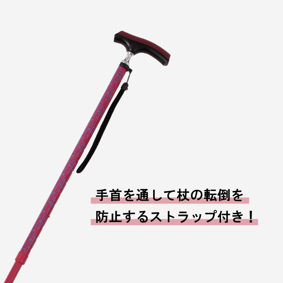 �ɥ��������������̾�(HC-PD)