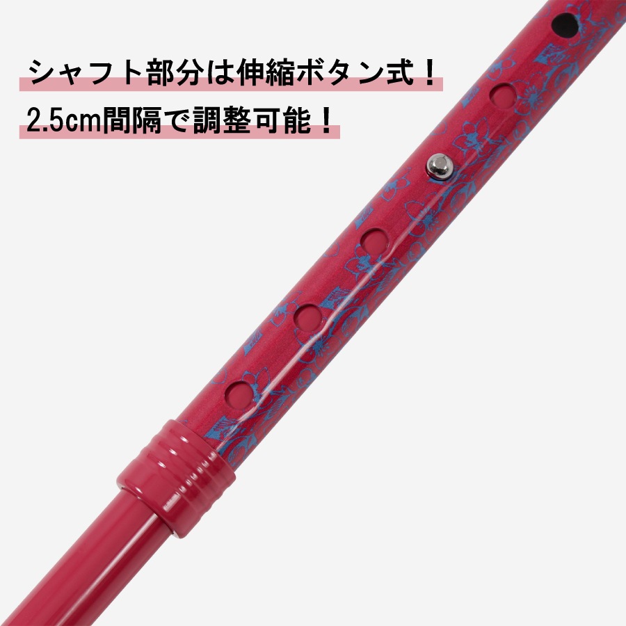 �ɥ��������������̾�(HC-PD)