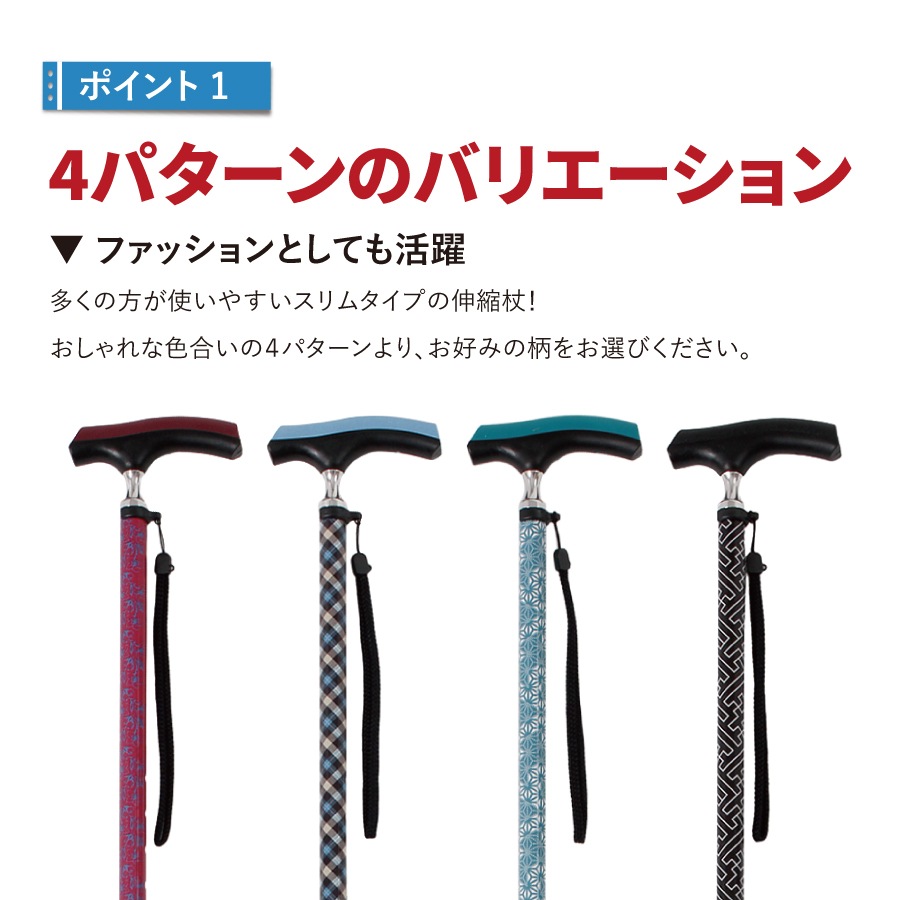 �ɥ��������������̾�(HC-PD)