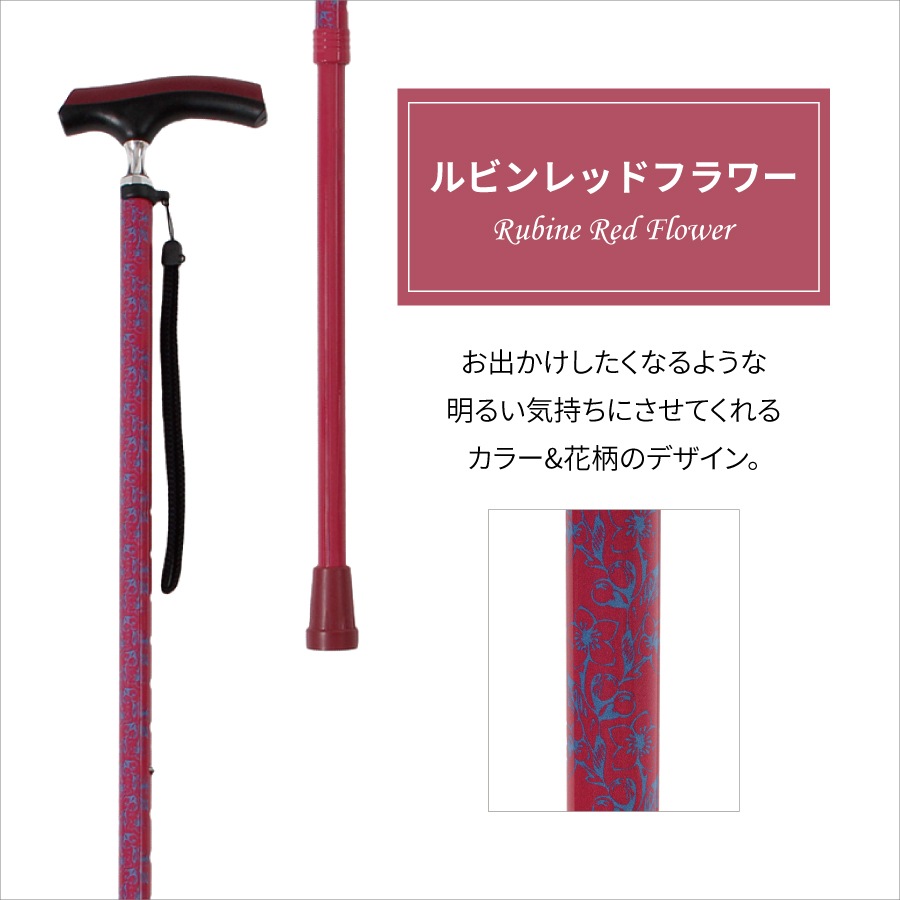 �ɥ��������������̾�(HC-PD)