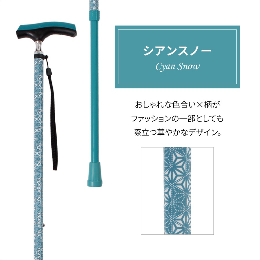 �ɥ��������������̾�(HC-PD)