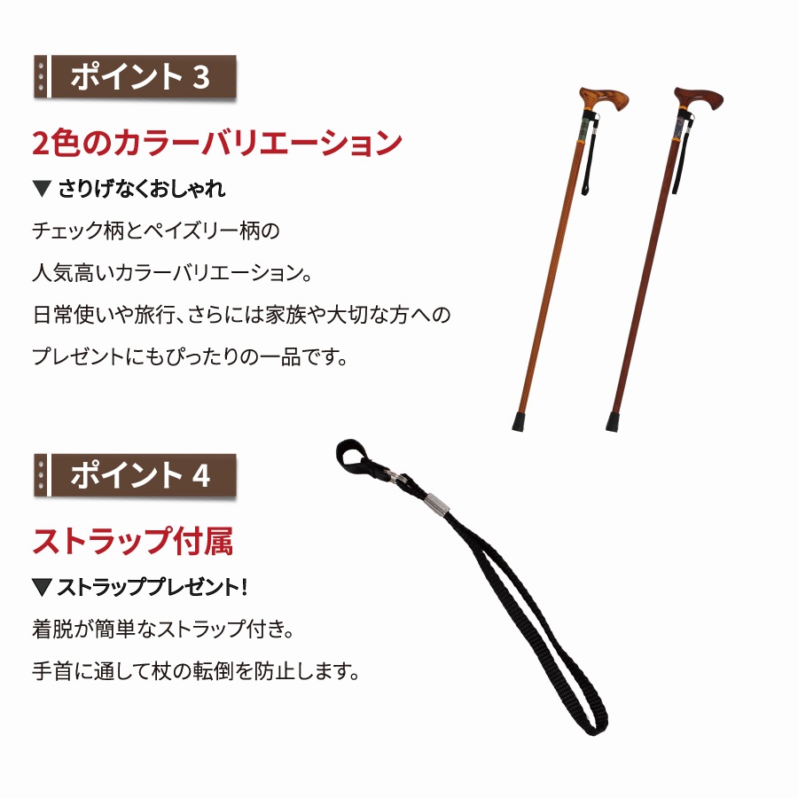 �ɥ����������������� ��HC-WD��