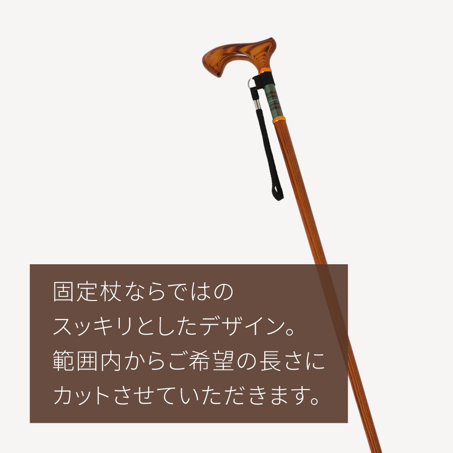 �ɥ����������������� ��HC-WD��