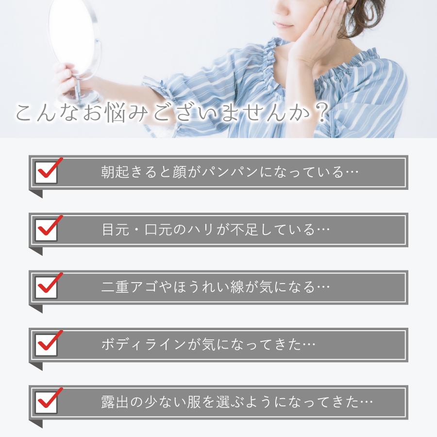 �ڥ�ӥ塼�ץ쥼�����ۥ�����������ࡦ�ե����������顼��GS-ES��