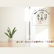 �ڥ�ӥ塼�ץ쥼������AIR ADE 300ml��AN-AA��