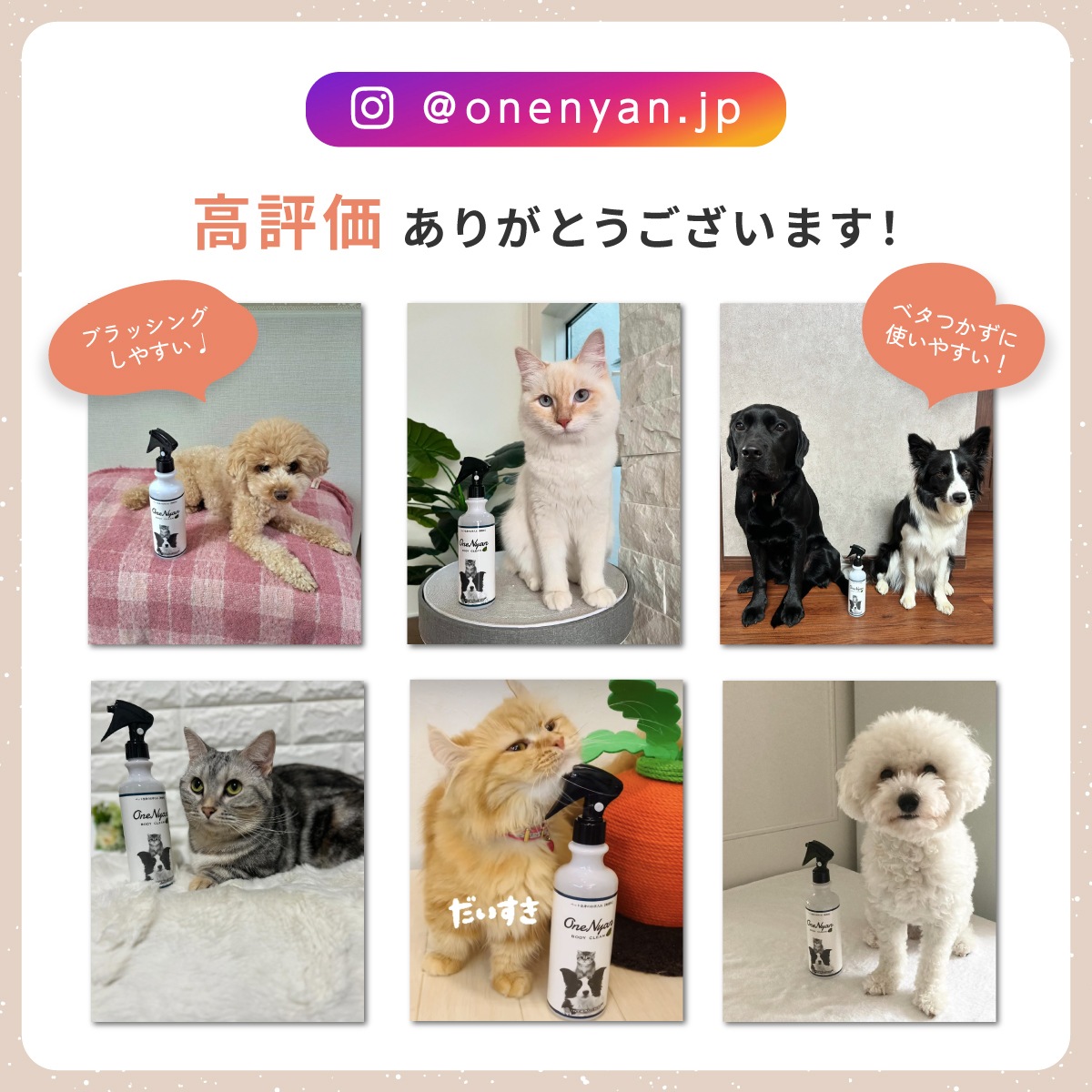 OneNyan ܥǥ꡼ ǭ 300mlON-BC0206-ONB30