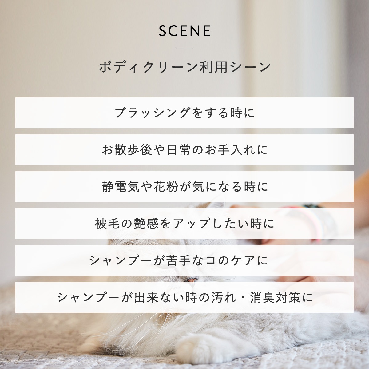 OneNyan ܥǥ꡼ ǭ 300mlON-BC0206-ONB30