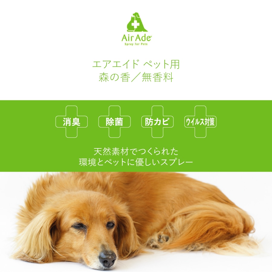 �ڥ�ӥ塼�ץ쥼������Air Ade �ڥå��� 300ml��AN-AAP��